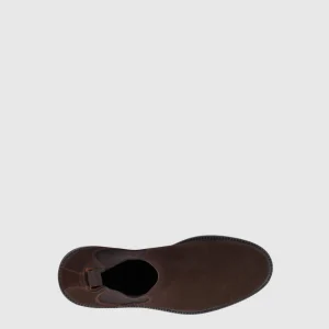 Hot Aquatalia Prospero Dark brown